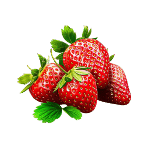 Fresh Strawberry