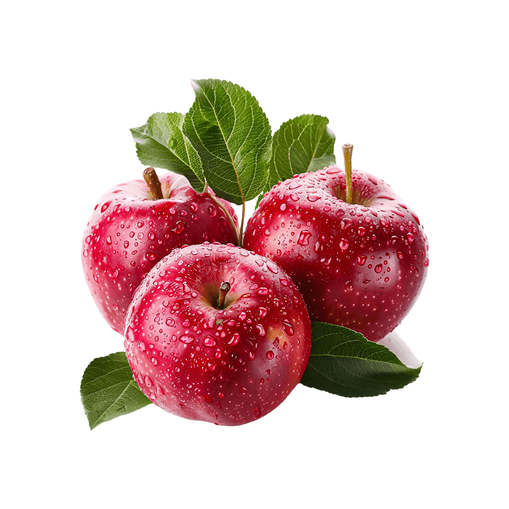 Sweet Orange – Image 4