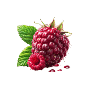 Fresh Raspberry