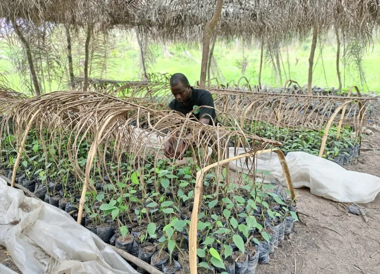 IMG_20240116_110921_989-DeNoiseAI-clear