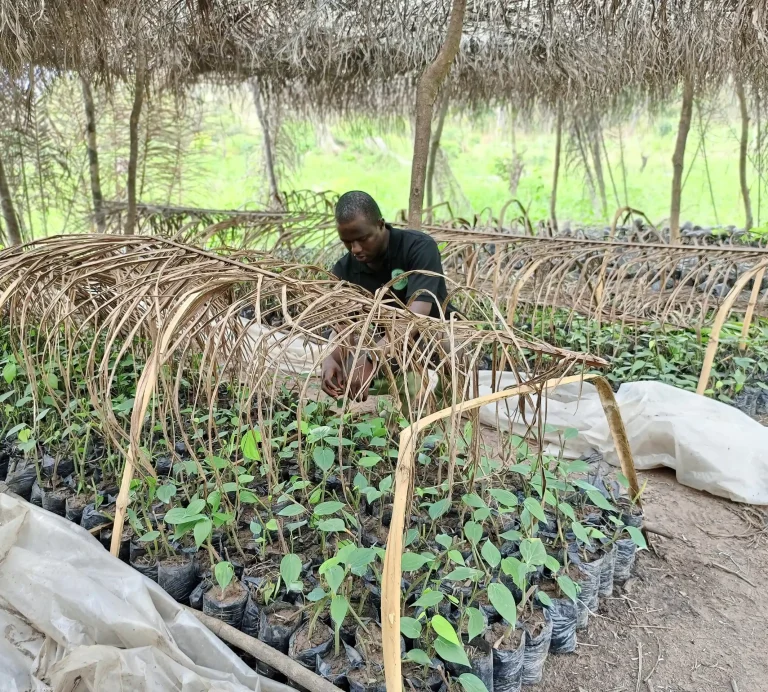 IMG_20240116_110921_989-DeNoiseAI-clear