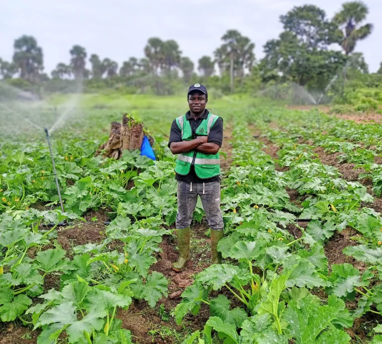 IMG_20240803_155918_041-DeNoiseAI-clear